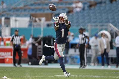 NFL: NOV 24 Patriots at Dolphins
